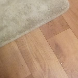 New!!! Bundle of "up & up" 2 Pocket Plastic Folder